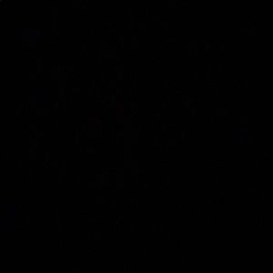 Meet your Posher, Aissatou